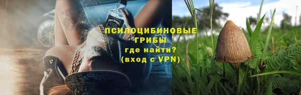 дурь Арсеньев