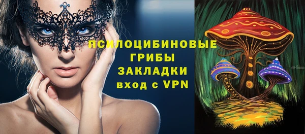дурь Арсеньев