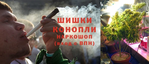 дурь Арсеньев
